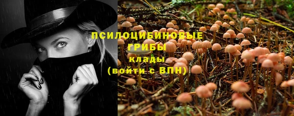спиды Алзамай